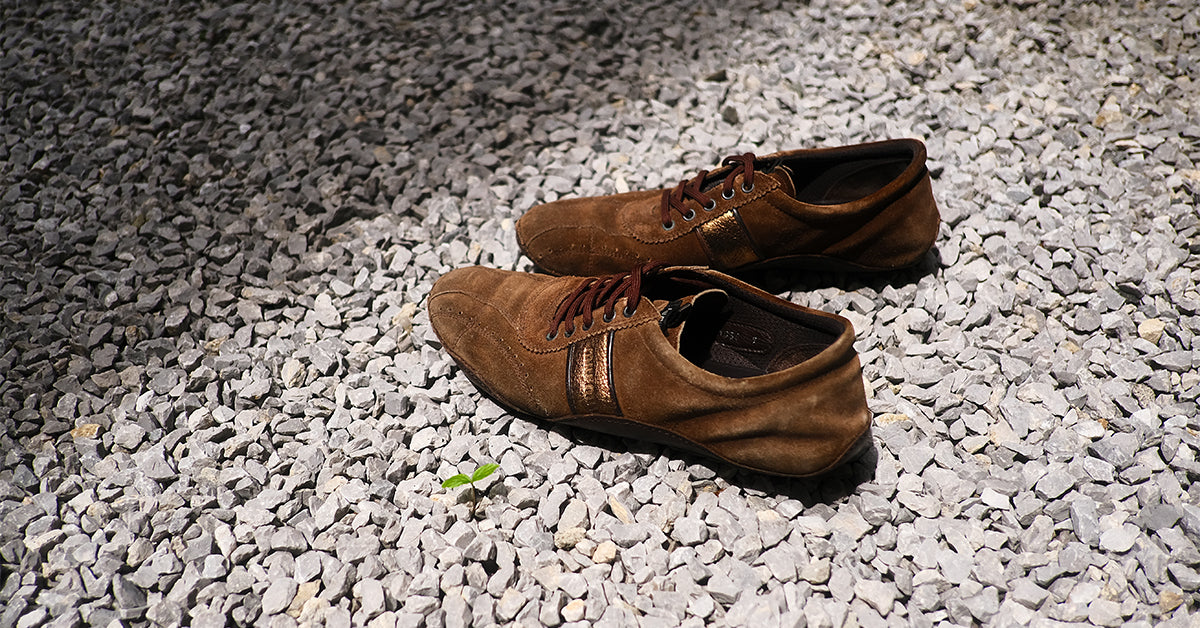 DRIES VAN NOTEN – DISSONANCE