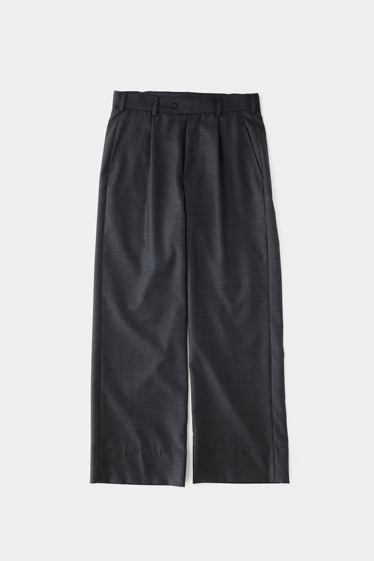 NTRUL SLIM TROUSERS 2 GRAY